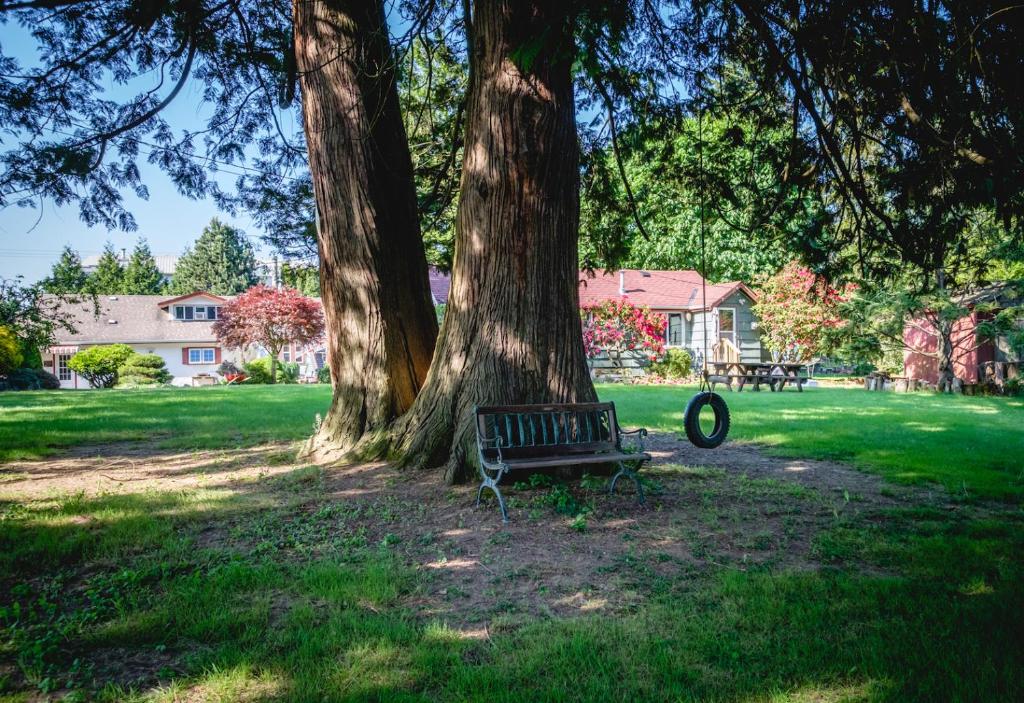 una panchina da parco seduta sotto un albero in un parco di Bramblebank Cottages a Harrison Hot Springs