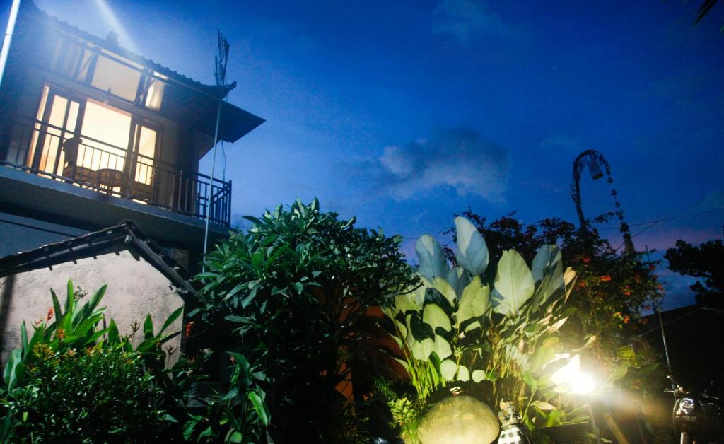 Zahrada ubytování Baruna Guest House