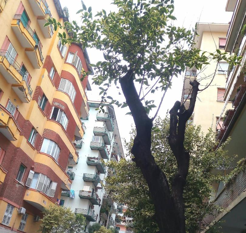 The building in which a panziókat is located