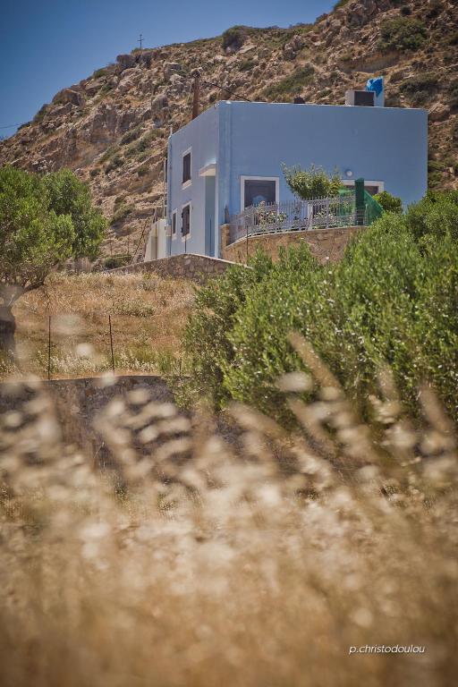 Príroda v okolí of the country house