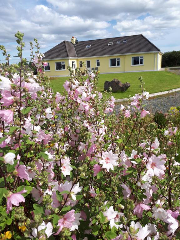 Aed väljaspool majutusasutust Tullaleagan Guesthouse