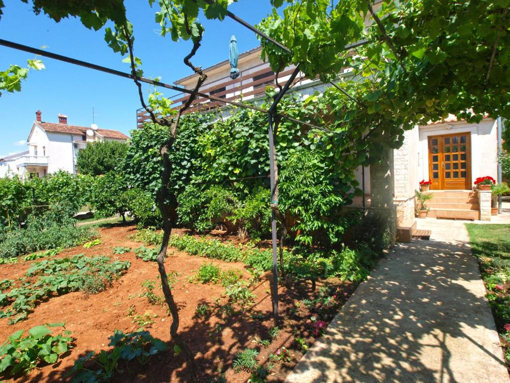 Zdjęcie z galerii obiektu Apartments Velimir 421 w Fažanie