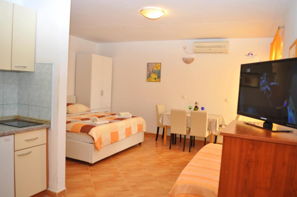 TV a/nebo společenská místnost v ubytování Apartments Ivica
