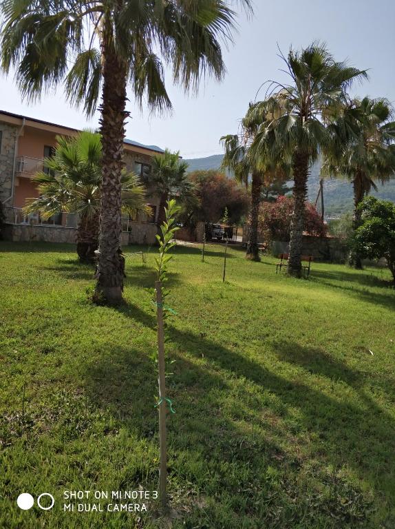 Zahrada ubytování The Palm Apart Sarigerme