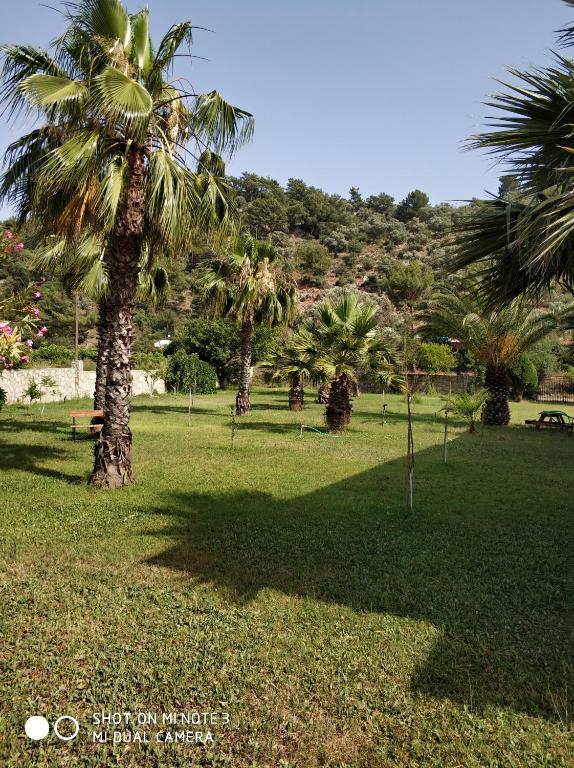 Zahrada ubytování The Palm Apart Sarigerme