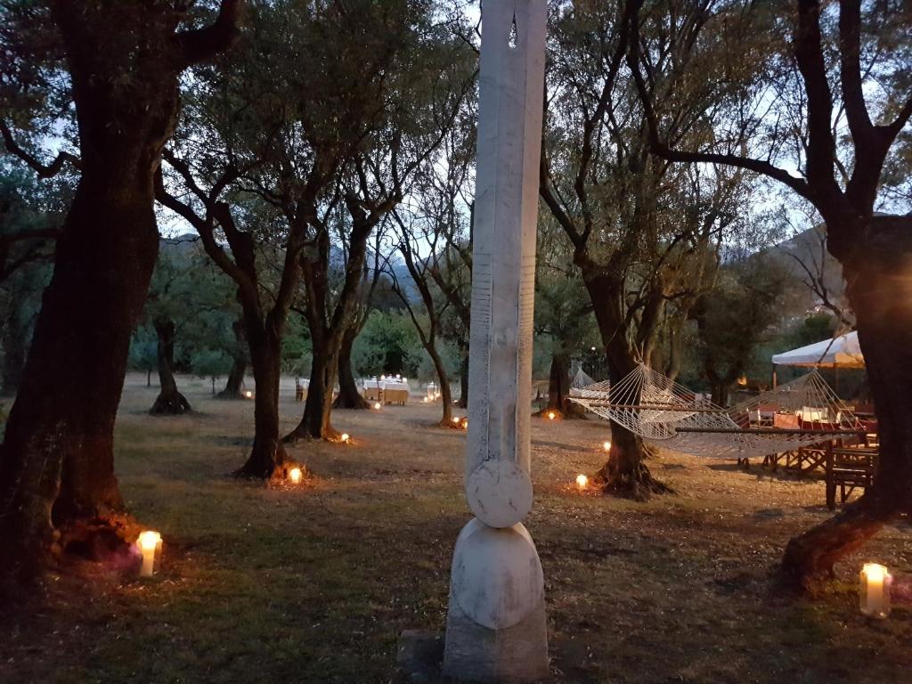 Vonkajšia záhrada v ubytovaní Antico Uliveto