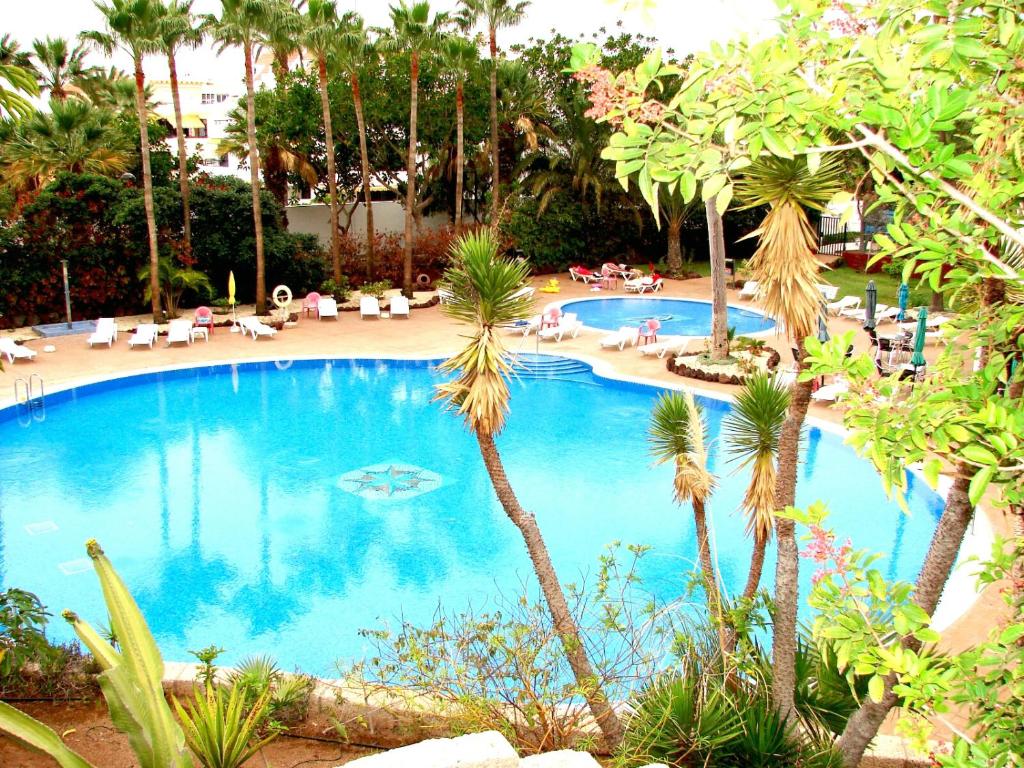 a large swimming pool with palm trees and chairs at Eldorado Casa Gi in Playa de las Americas