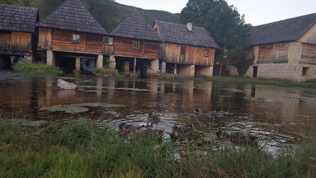Príroda v okolí apartmánu