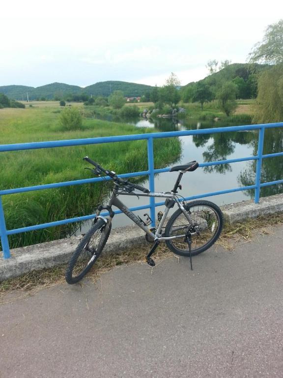 Príroda v okolí apartmánu