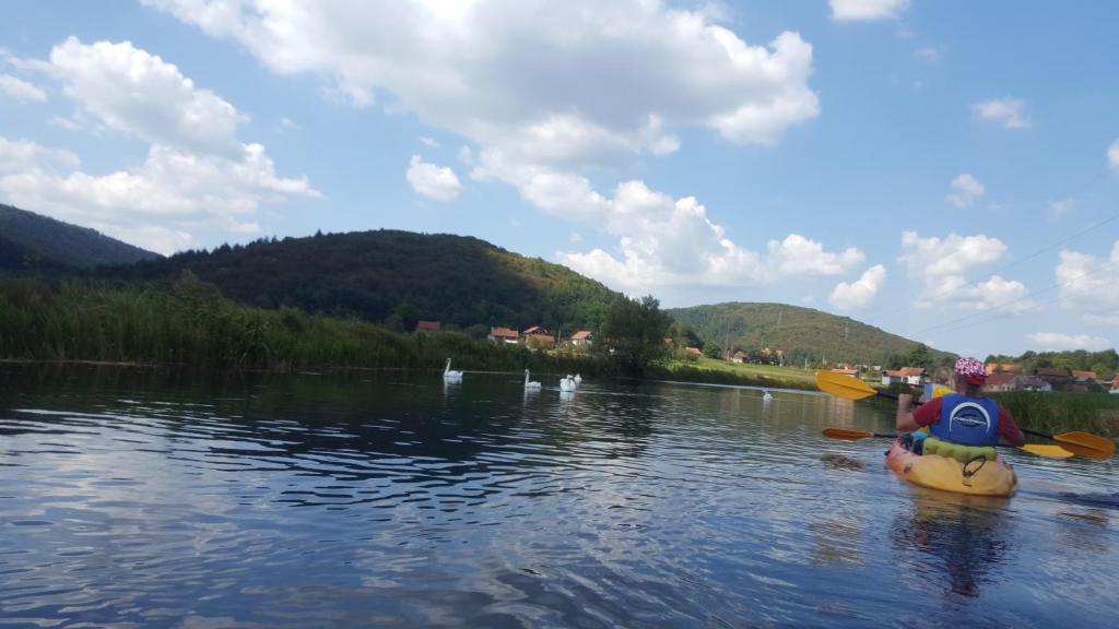 Príroda v okolí apartmánu