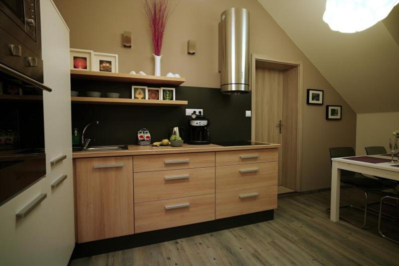 Kuchyň nebo kuchyňský kout v ubytování Penzion a relax centrum Andělka