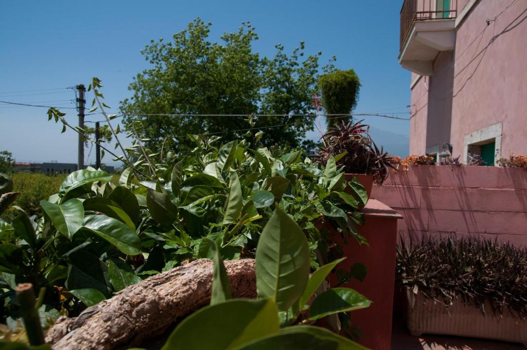 I Giardini di Naxos - Holiday Home