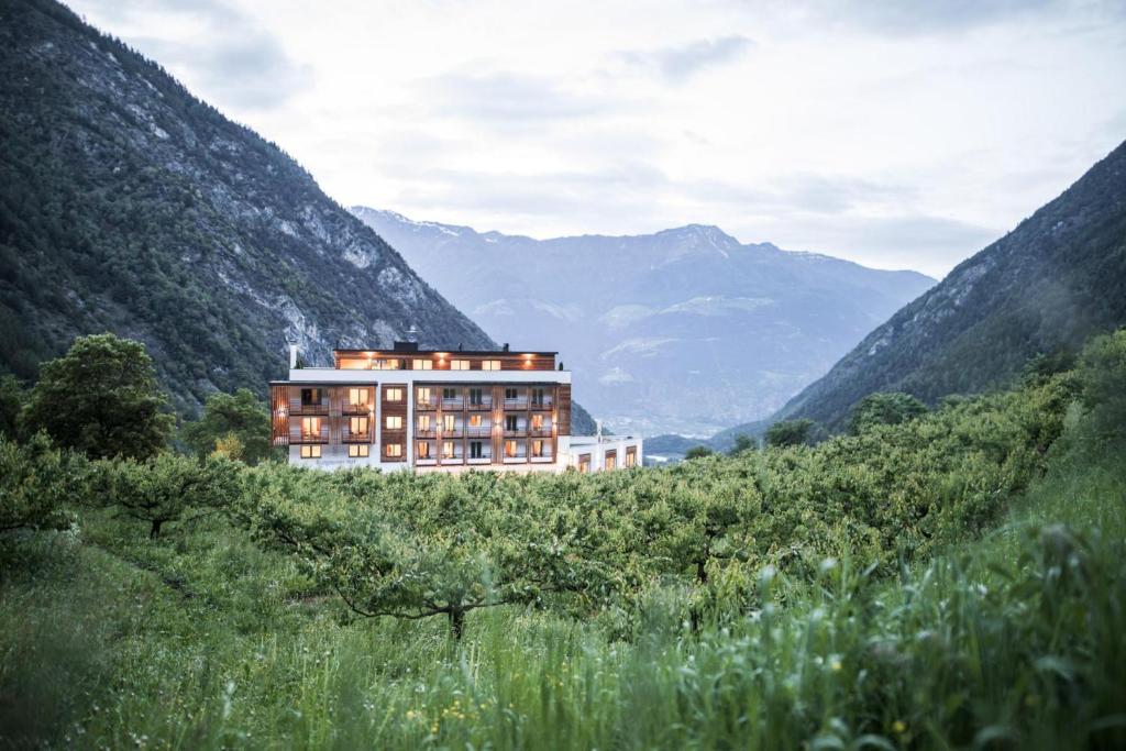 a building on a hill with mountains in the background at Hotel Burgaunerhof in Martello