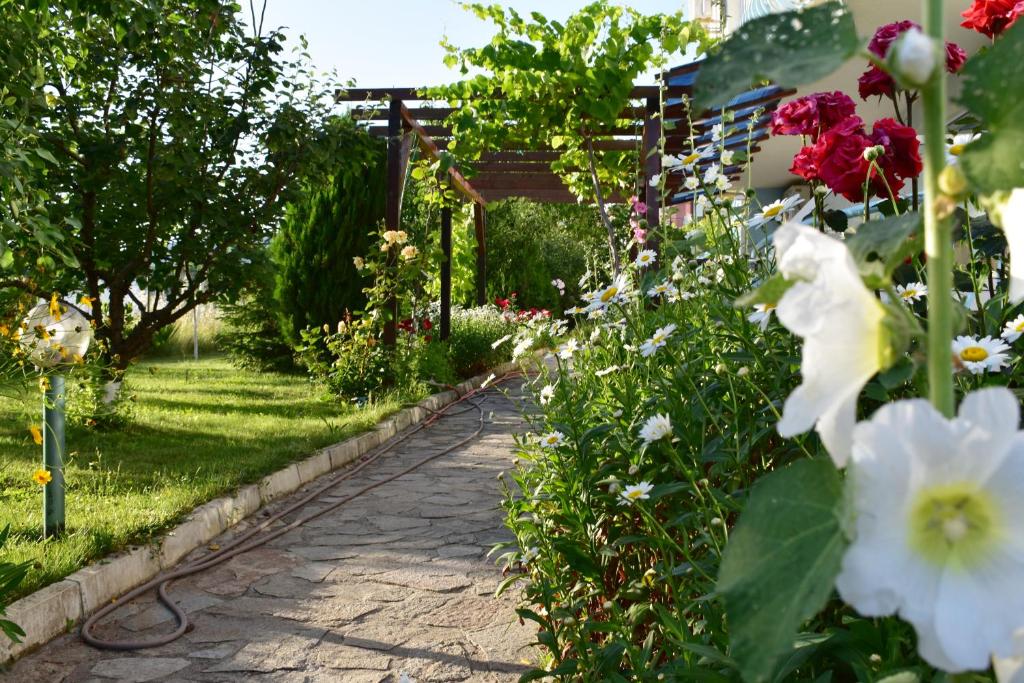Zahrada ubytování Nushev Hotel