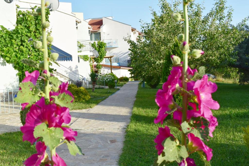 Zahrada ubytování Nushev Hotel