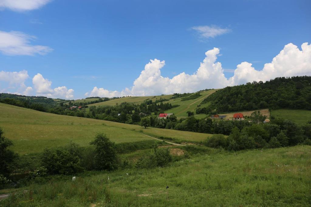 Príroda v okolí dovolenkového domu