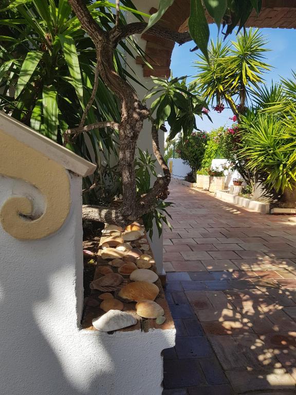 Vila Channa - Adults Only - 14