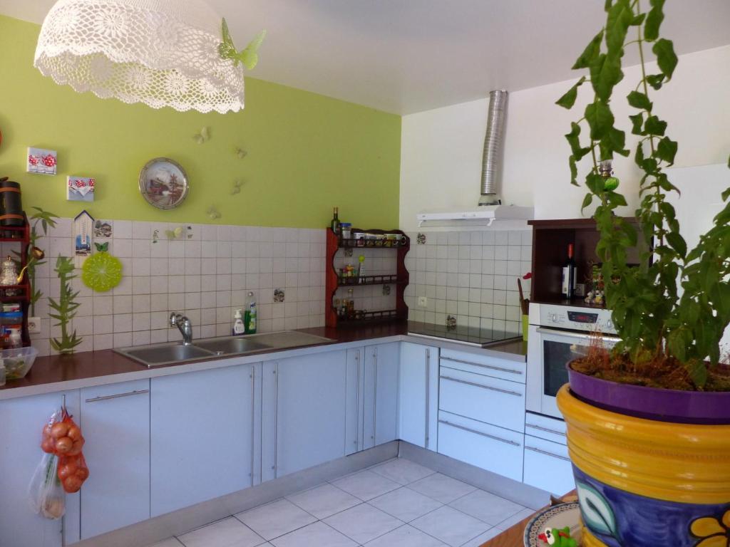 una cocina con armarios blancos y una planta en una olla en Eole en Amélie-les-Bains-Palalda