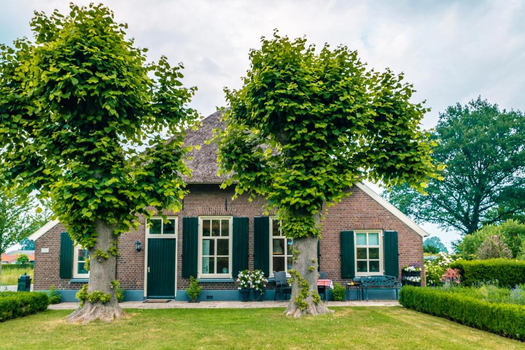 ein Haus mit zwei Bäumen davor in der Unterkunft Woonboerderij Dijkerhoek in Holten