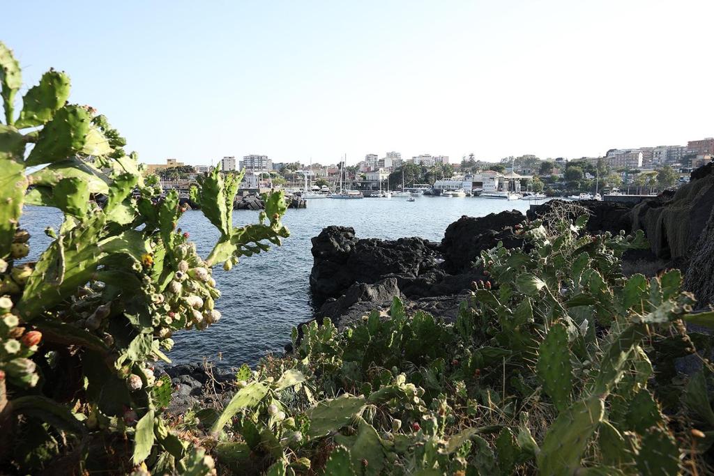 een uitzicht op een waterlichaam met een haven bij The Patrick in Catania