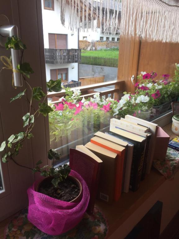 Zahrada ubytování b&b Casa Tavernaro