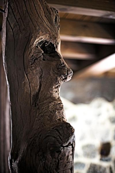 Fotografie z fotogalerie ubytování Casa Maru v destinaci Camarmeña