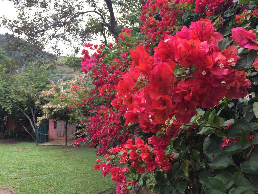  Conforto e Charme em Ilhabela