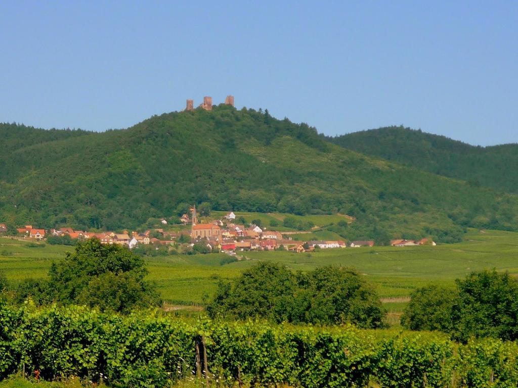 Nespecifikovaný výhled na hory nebo výhled na hory při pohledu z bed and breakfast