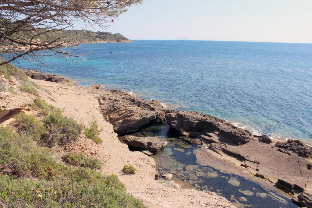 a rocky shoreline with a body of water at Villa Oleandro in Capoliveri