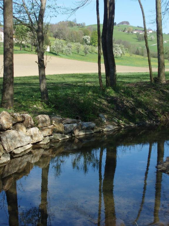 Příroda nedaleko penzionu – hostince