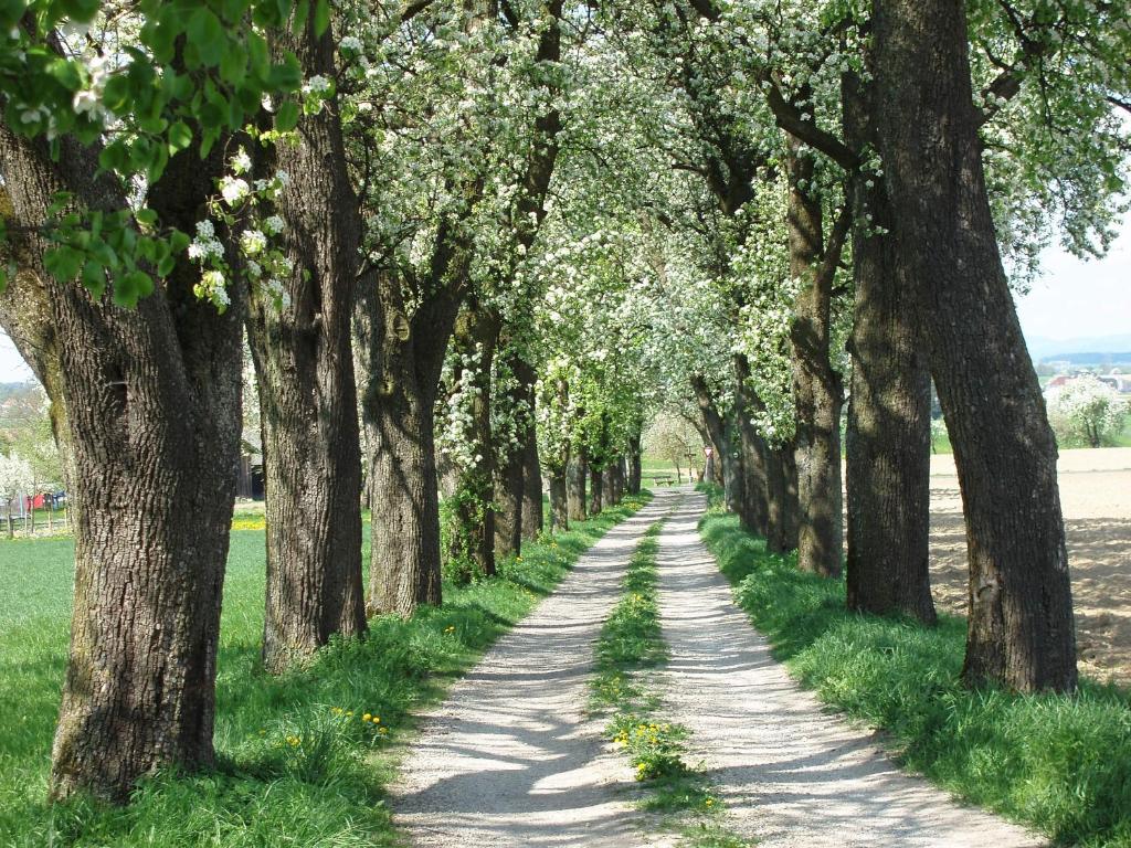 Příroda nedaleko penzionu – hostince