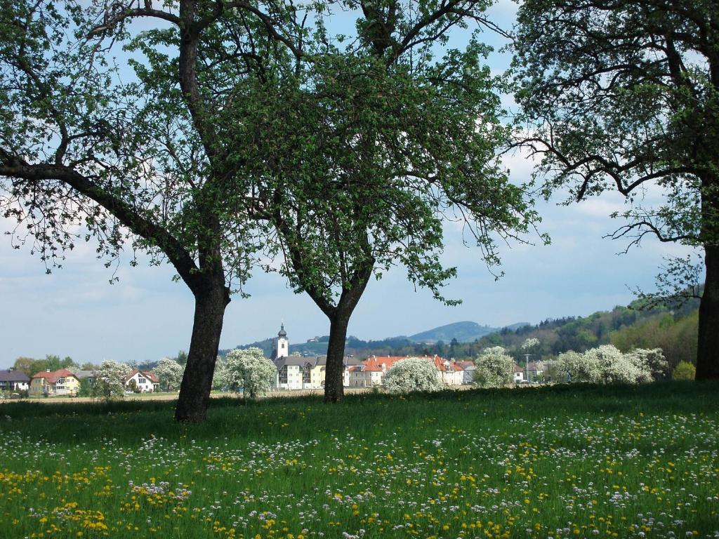 Příroda nedaleko penzionu – hostince