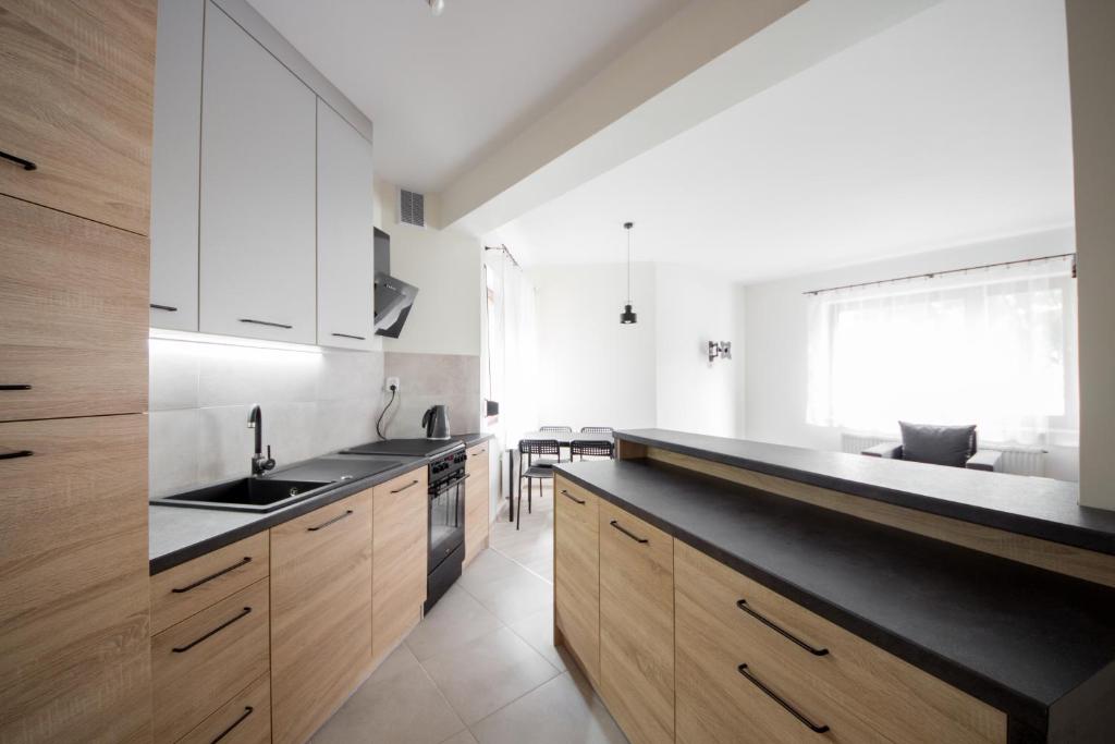 Kuchyňa alebo kuchynka v ubytovaní Apartament Zebcowska