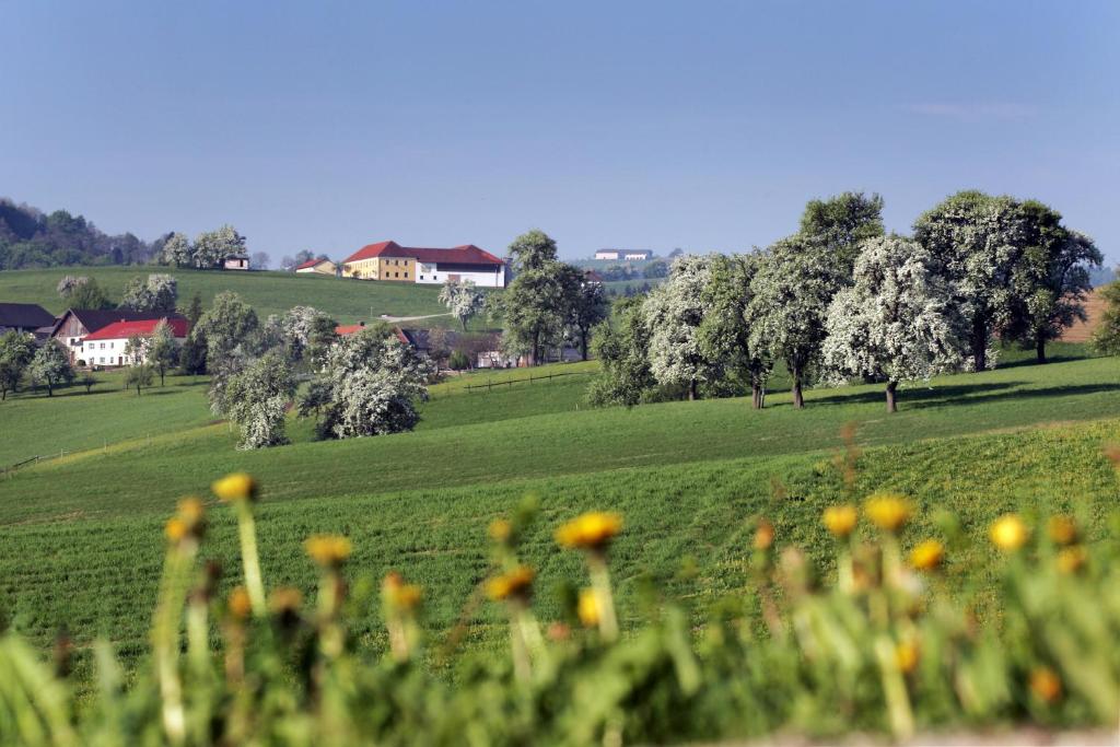 Příroda nedaleko penzionu – hostince