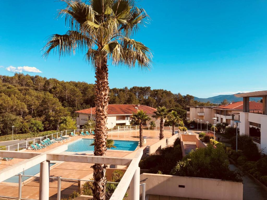 uma palmeira ao lado de uma piscina em Les Parasols d'Argens em Roquebrune-sur-Argens