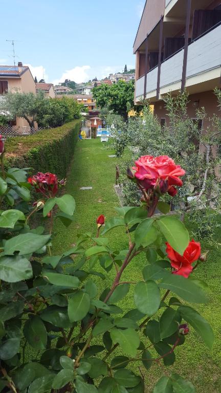Zahrada ubytování Hotel Andreis