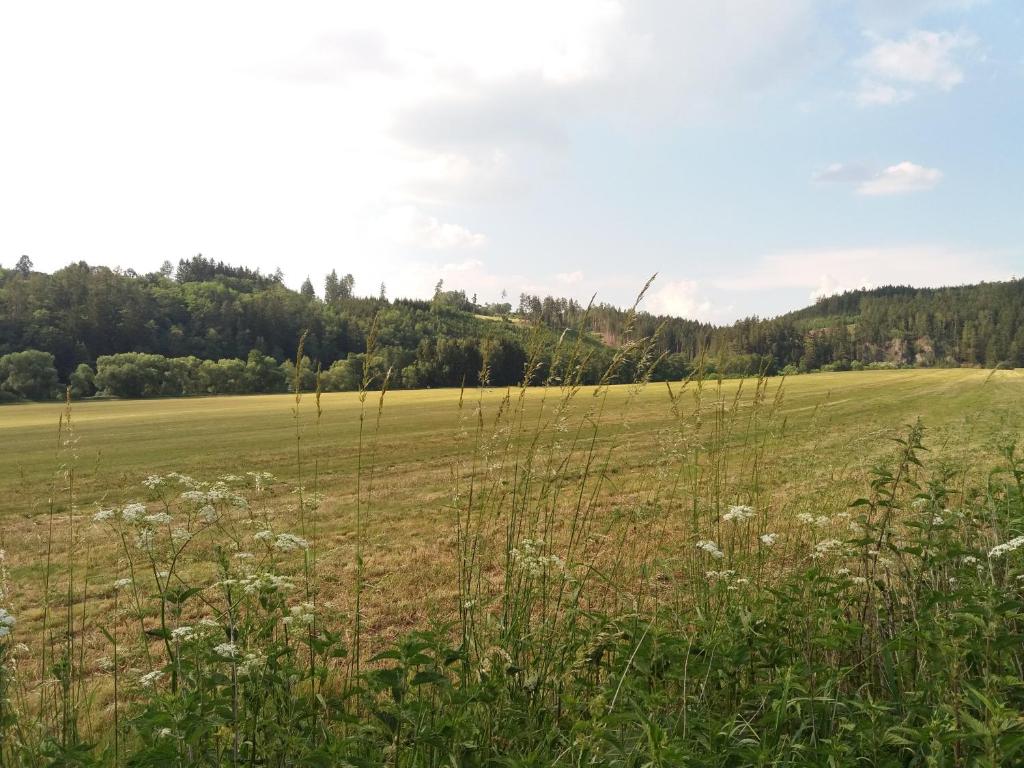 Příroda nedaleko apartmánu