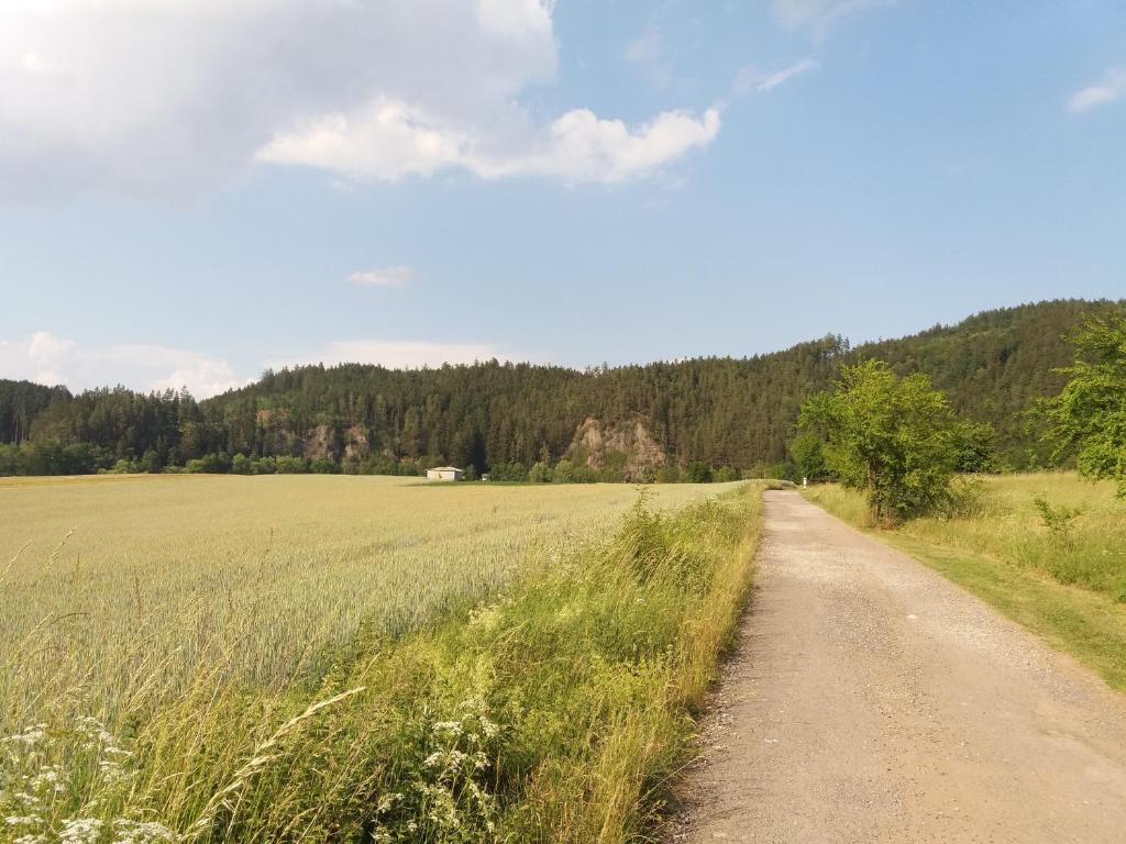 Příroda nedaleko apartmánu