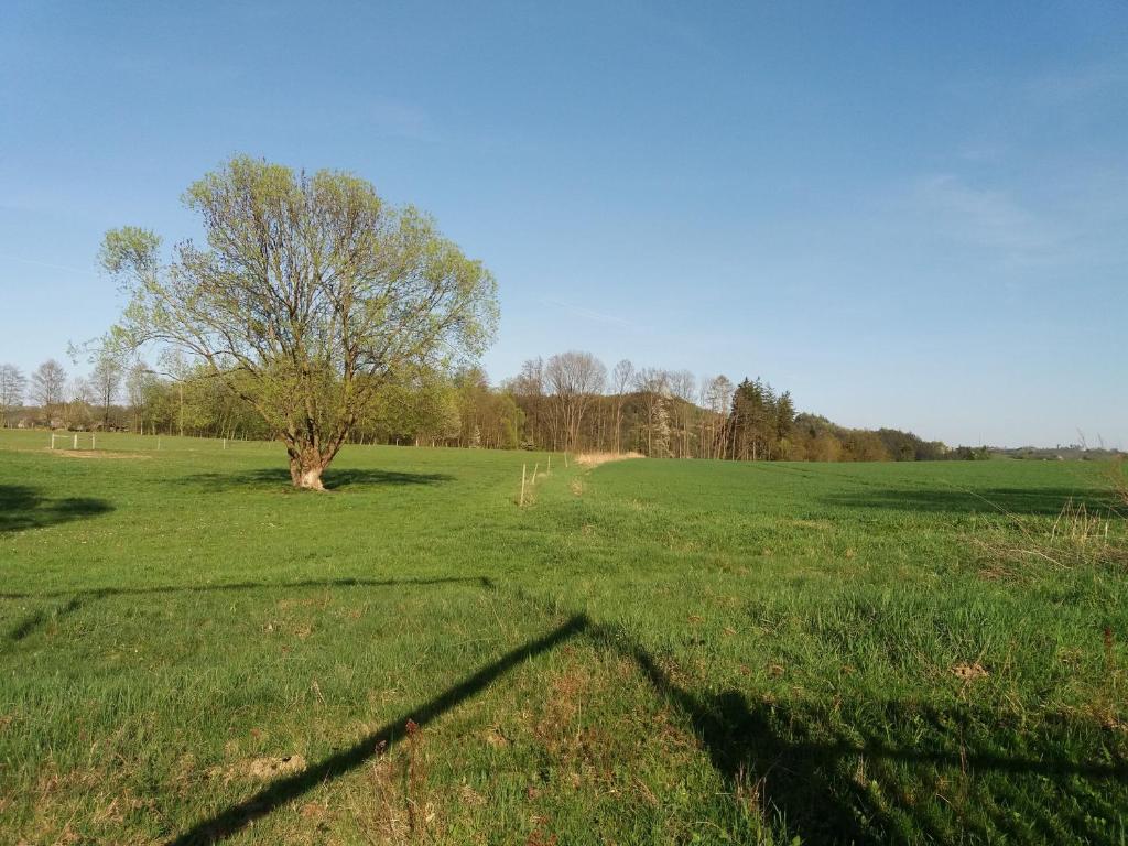 Příroda nedaleko apartmánu