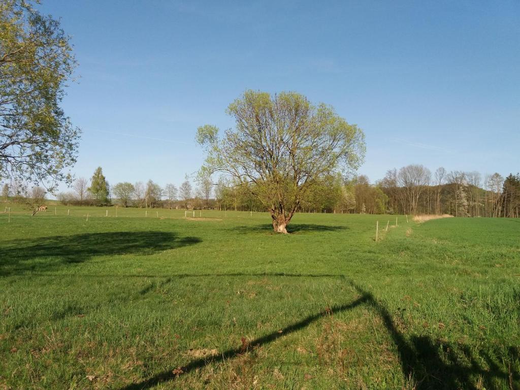 Příroda nedaleko apartmánu
