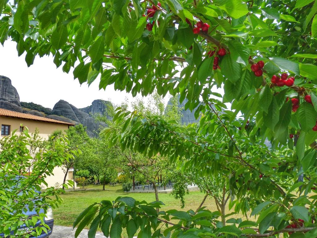 Zahrada ubytování Hotel Doupiani House