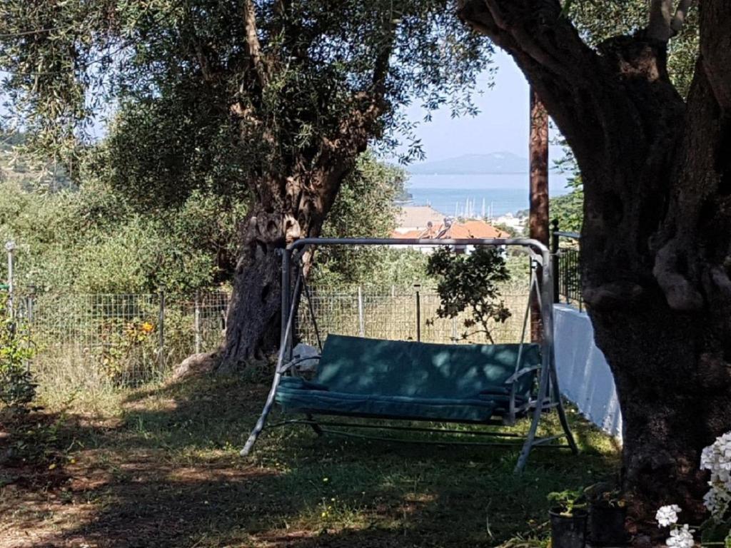 Príroda v okolí dovolenkového domu