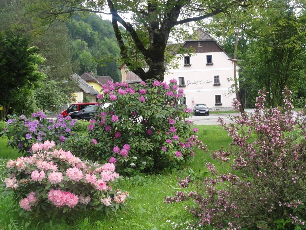 a bunch of flowers in a yard with a house at Gasthof Eschau in Palfau