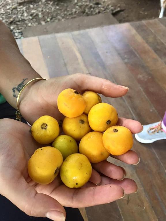 Suite Gramado Snow  Suite Gramado Snow