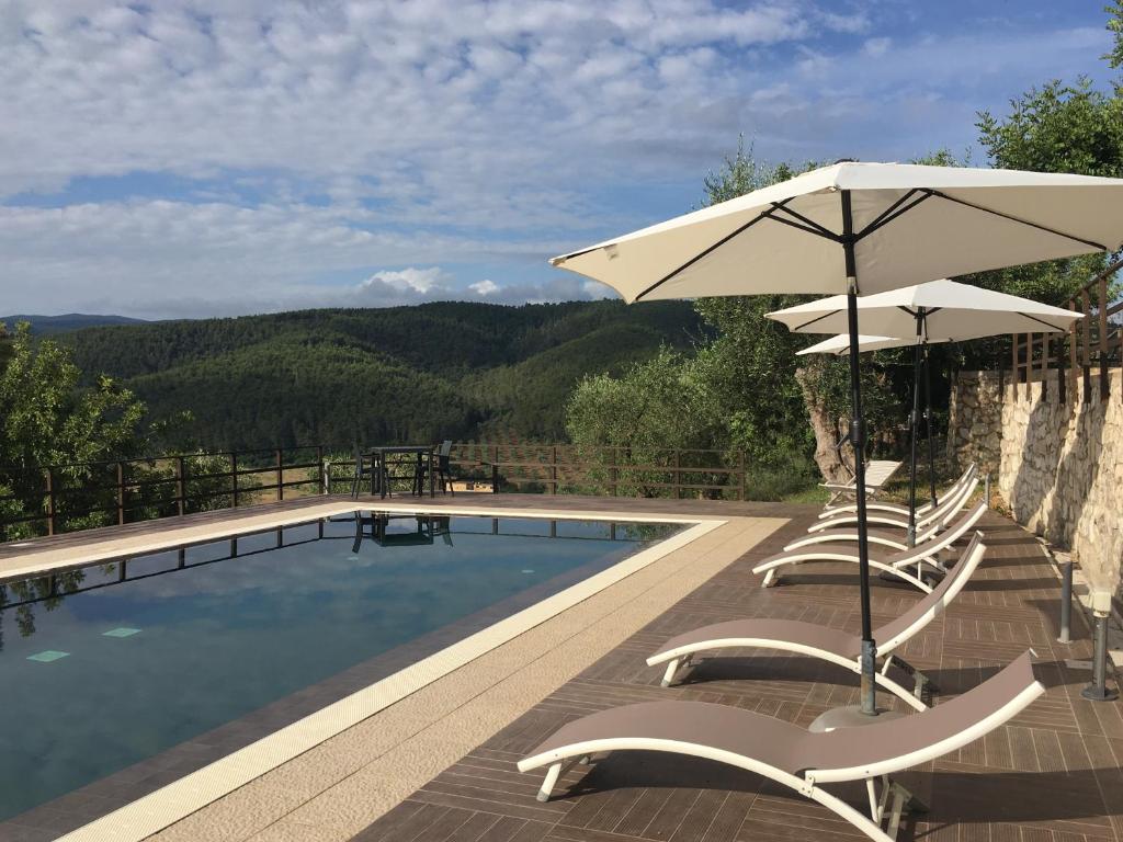 uma piscina com cadeiras e um guarda-sol e uma piscina em B&B Zia Nì em Peschici