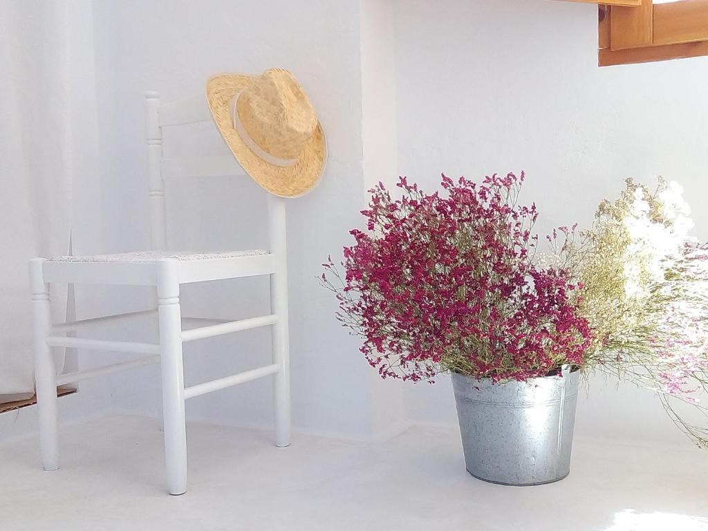 La Casa del Agua - 16