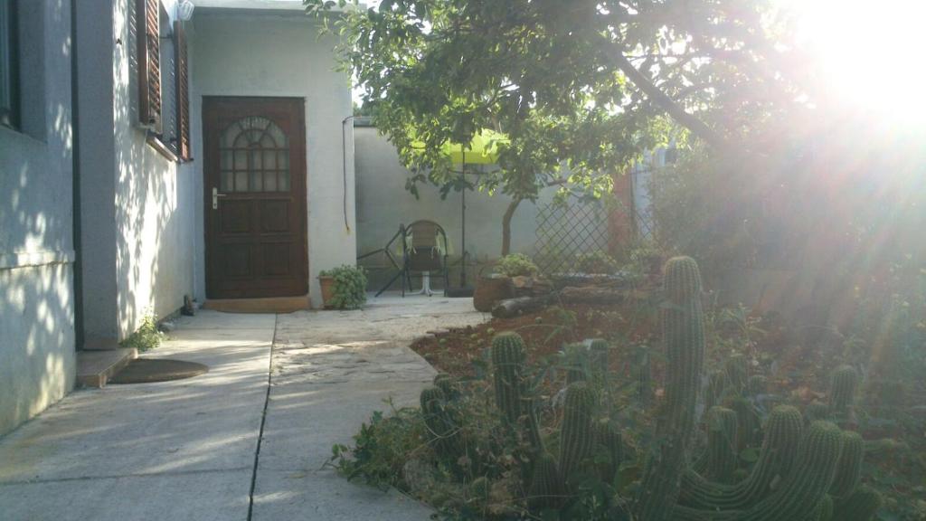 a house with a cactus garden in front of a door at Apartment Božava - Nena in Božava