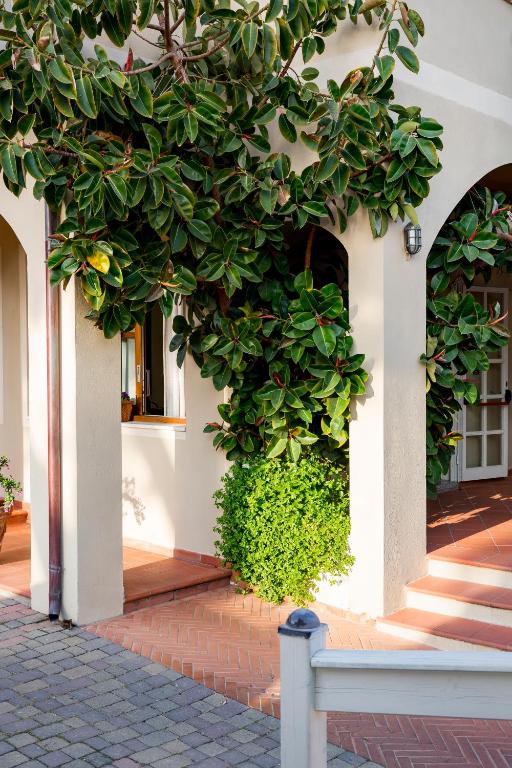 a building with a large green plant on the side of it at Hotel Corallo in Pomonte