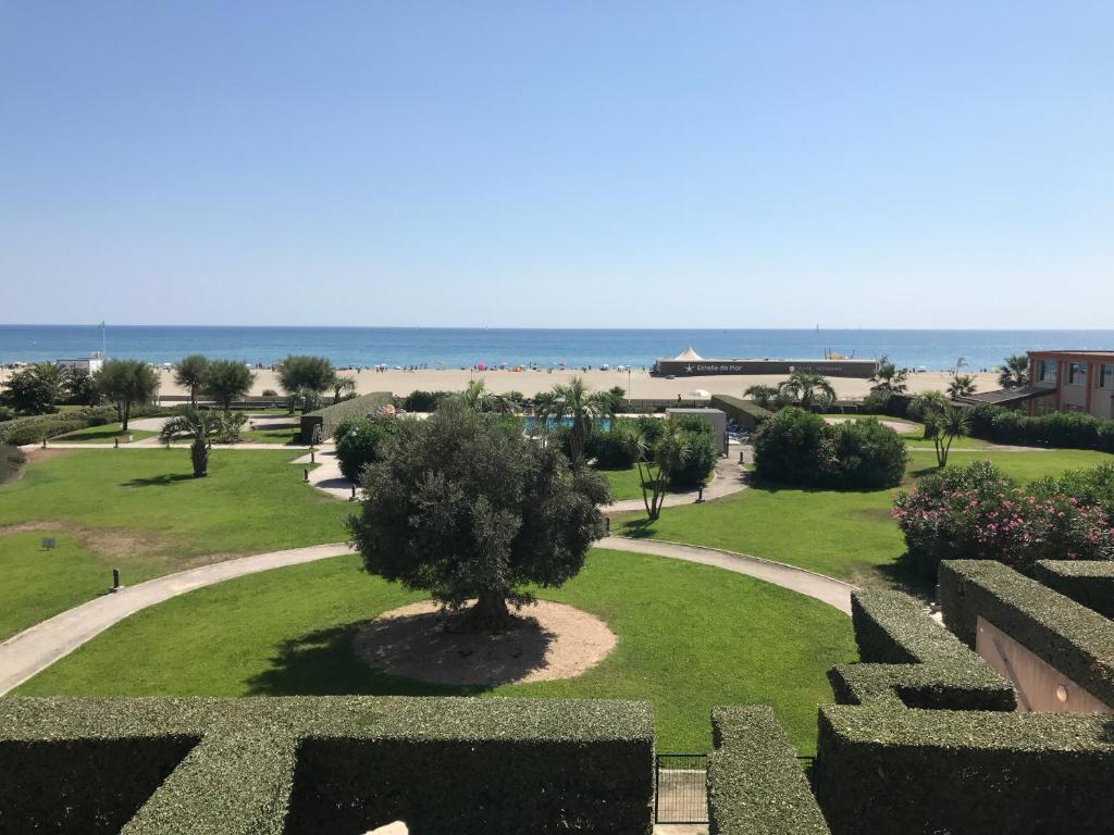 - une vue sur un parc avec un arbre et la plage dans l'établissement Appartement Face Mer, Piscine, à Canet