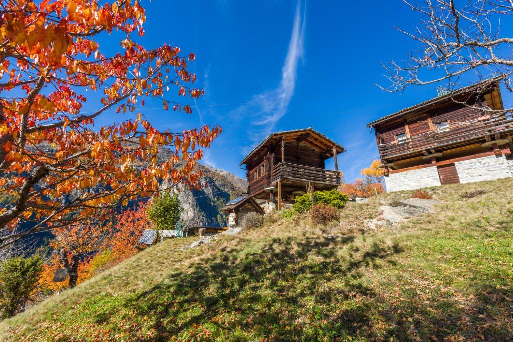 dos cabañas de madera en una colina con follaje de otoño en korn-stadel ARIDA PRATA "natur pur" en Grächen